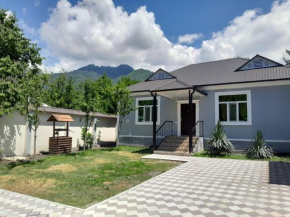 Gabala villa Exceptional